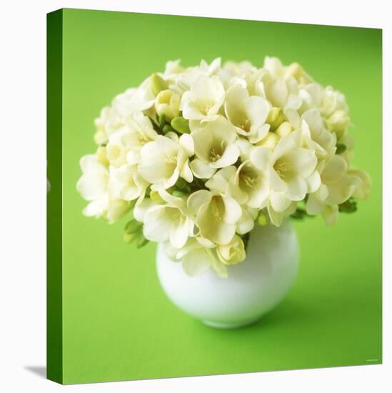 Bouquet of White Freesias in Spherical Vase-Michael Paul-Premier Image Canvas