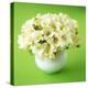 Bouquet of White Freesias in Spherical Vase-Michael Paul-Premier Image Canvas