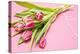 Bouquet, Tulips, Pink, Flowers, Table-Sebastian Scheuerecker-Premier Image Canvas