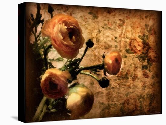 Bouquet-Katherine Sanderson-Premier Image Canvas