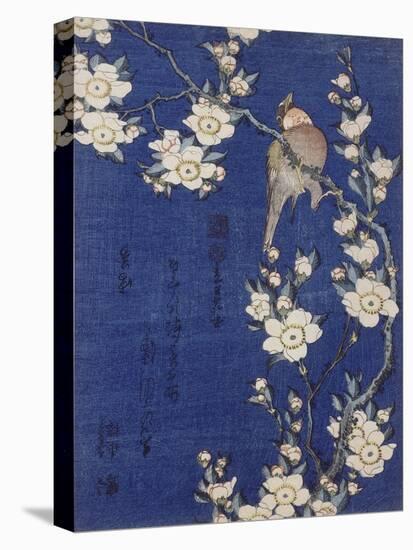 Bouvreuil et cerisier pleureur en fleur-Katsushika Hokusai-Premier Image Canvas