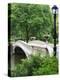 Bow Bridge, Central Park, Manhattan-Amanda Hall-Premier Image Canvas