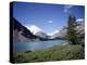 Bow Lake with Bow Glacier Behind, Icefields Parkway, Banff National Park, Alberta-Geoff Renner-Premier Image Canvas