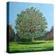 Bow Tree Summer-Noel Paine-Premier Image Canvas