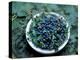 Bowl of Blueberries-ATU Studios-Premier Image Canvas