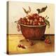 Bowl of Cherries-Suzanne Etienne-Stretched Canvas