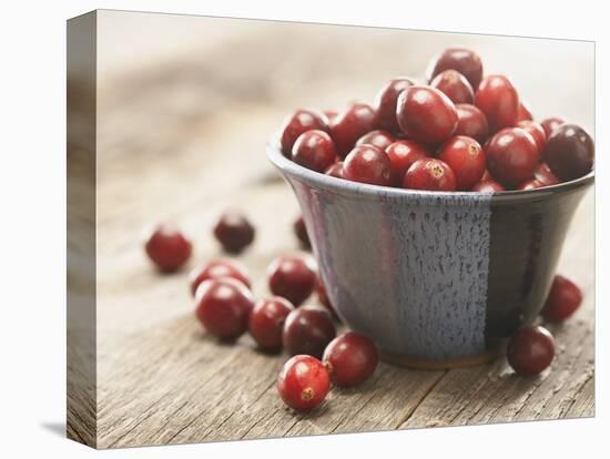 Bowl of cranberries-Fancy-Premier Image Canvas