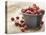 Bowl of cranberries-Fancy-Premier Image Canvas