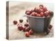 Bowl of cranberries-Fancy-Premier Image Canvas