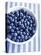 Bowl of Fresh Blueberries on Striped Cloth-Yvonne Duivenvoorden-Premier Image Canvas
