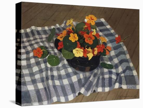 Bowl of Nasturtiums-Félix Vallotton-Premier Image Canvas