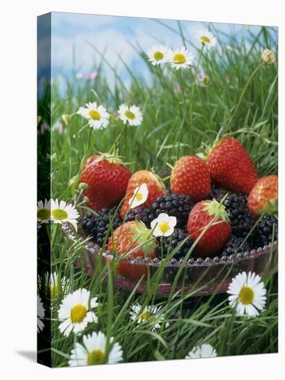 Bowl of Strawberries and Blackberries in Grass with Daisies-Linda Burgess-Premier Image Canvas