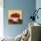 Bowl of Strawberries-Suzanne Etienne-Stretched Canvas displayed on a wall