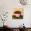 Bowl of Strawberries-Suzanne Etienne-Stretched Canvas displayed on a wall