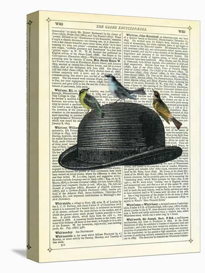 Bowler Hat with Birds-Marion Mcconaghie-Stretched Canvas