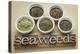 Bowls of Seaweed Diet Supplements (Bladderwrack, Sea Lettuce, Kelp Powder, Wakame and Irish Moss)-PixelsAway-Premier Image Canvas