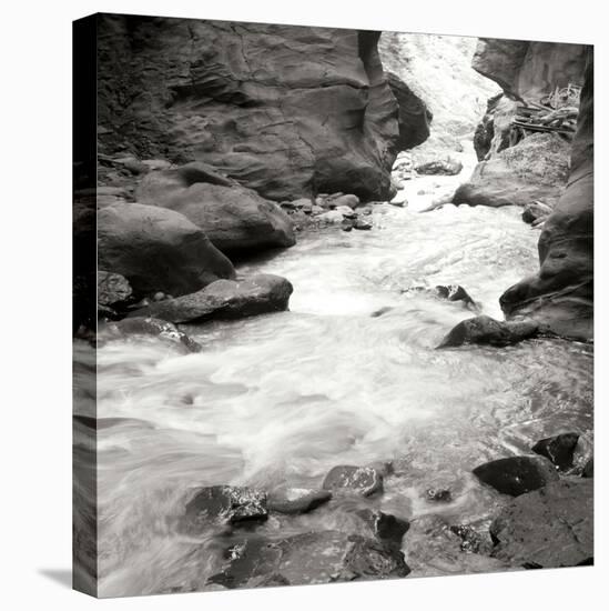 Box Canyon III-Dana Styber-Premier Image Canvas