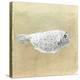 Box Fish, Sri Lanka, 2015-Lincoln Seligman-Premier Image Canvas