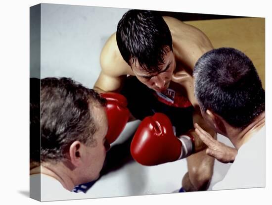 Boxer Receiving Advice-null-Premier Image Canvas