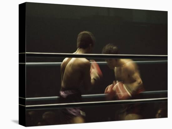 Boxers Seen from Between the Ropes-null-Premier Image Canvas