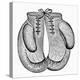 Boxing Gloves, c1900-null-Premier Image Canvas