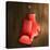 Boxing Gloves on Wall-Macrovector-Premier Image Canvas