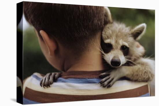 Boy Holding a Raccoon-William P. Gottlieb-Premier Image Canvas