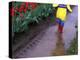 Boy Jumping through Mud Puddles along Tulip Fields, Willamette Valley, Oregon, USA-Janis Miglavs-Premier Image Canvas