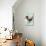 Boy Riding Giant Rooster-null-Stretched Canvas displayed on a wall