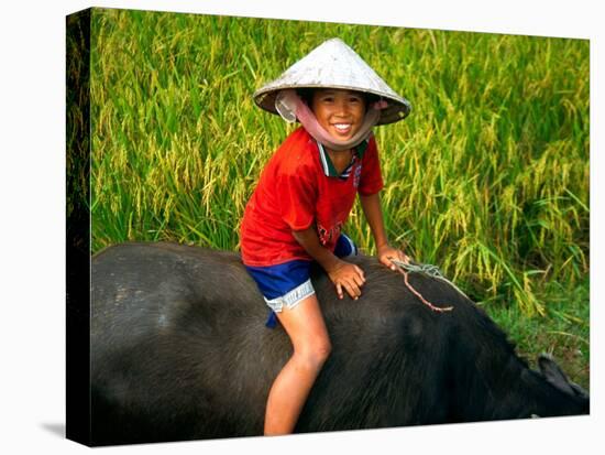 Boy Riding Water Buffalo, Mekong Delta, Vietnam-Keren Su-Premier Image Canvas