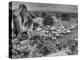 Boy Sitting on Rock Ledge Above Refugee Camp-Margaret Bourke-White-Premier Image Canvas