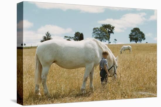 Boy Standing with Horse in a Field-William P. Gottlieb-Premier Image Canvas