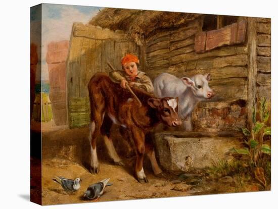 Boy with Calves and Trough-Henry Dawson-Premier Image Canvas