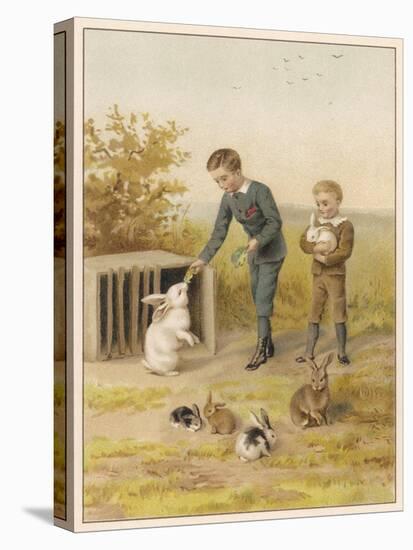 Boys and Rabbits 1889-Helena J Maguire-Stretched Canvas