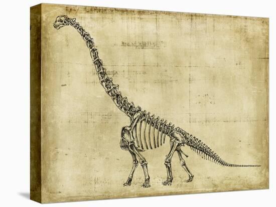 Brachiosaurus Study-Ethan Harper-Stretched Canvas