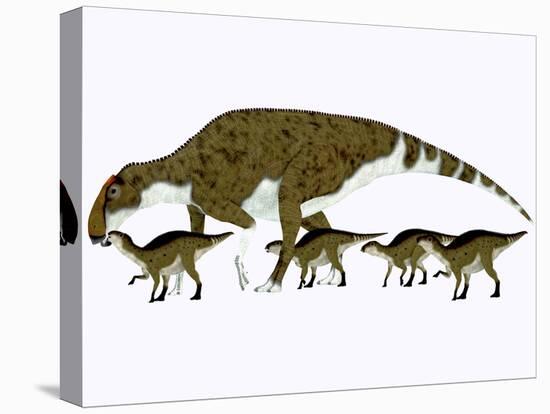 Brachylophosaurus with Offspring-Stocktrek Images-Stretched Canvas