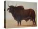 Brahmin Bull-Lincoln Seligman-Premier Image Canvas