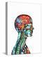 Brain And Spinal Cord, MRI-Mehau Kulyk-Premier Image Canvas