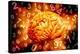 Brain, Conceptual Artwork-Victor De Schwanberg-Premier Image Canvas