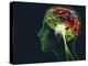 Brain Food, Conceptual Image-SMETEK-Premier Image Canvas