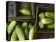 Braising Cucumbers in Wooden Boxes-Jan-peter Westermann-Premier Image Canvas