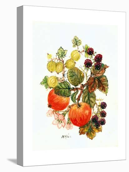 Brambles, Apples and Grapes-Nell Hill-Premier Image Canvas