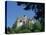 Bran Castle, Transylvania, Romania, Europe-Charles Bowman-Premier Image Canvas