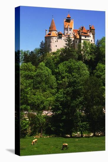 Bran Castle-Charles Bowman-Premier Image Canvas