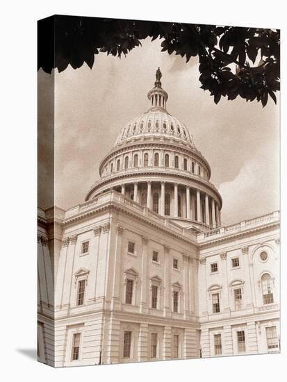 Branch Before U.S. Capitol-David Papazian-Premier Image Canvas