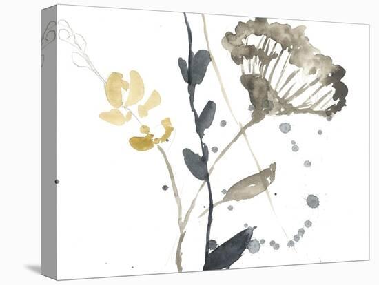 Branch Contours VI-Jennifer Goldberger-Stretched Canvas