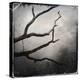 Branch in Water-Craig Roberts-Premier Image Canvas