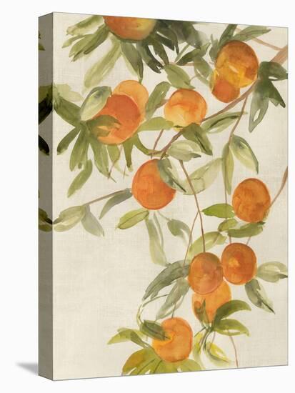Branch of Oranges II-Jacob Q-Stretched Canvas