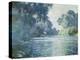 Branch of the Seine Near Giverny, 1897-Claude Monet-Premier Image Canvas
