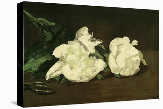 Branch of White Peonies and Secateurs, 1864-Edouard Manet-Premier Image Canvas